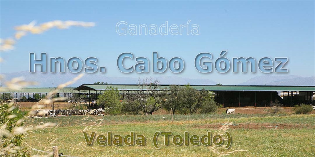 Ganader�a Hnos. Cabo G�mez: el orgullo de continuar el trabajo familiar