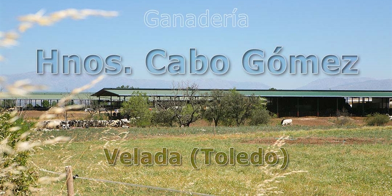 Ganader�a Hnos. Cabo G�mez: el orgullo de continuar el trabajo familiar