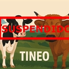Se suspende el Concurso de Ganado de Tineo 2026 por las medidas frente a la Dermatosis Nodular Contagiosa