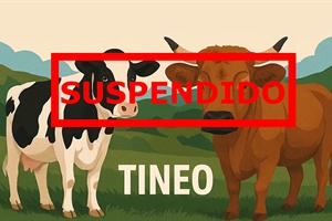 Se suspende el Concurso de Ganado de Tineo 2026 por las medidas frente a la Dermatosis Nodular Contagiosa