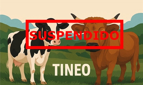 Se suspende el Concurso de Ganado de Tineo 2026 por las medidas frente...