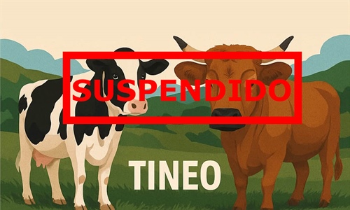 Se suspende el Concurso de Ganado de Tineo 2026 por las medidas frente...