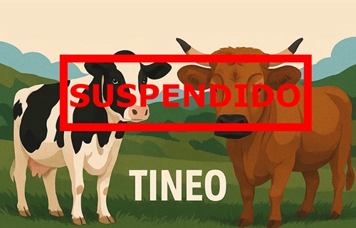Se suspende el Concurso de Ganado de Tineo 2026 por las medidas frente...