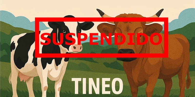 Se suspende el Concurso de Ganado de Tineo 2026 por las medidas frente a la Dermatosis Nodular Contagiosa