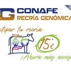 CONAFE lanza el impulso definitivo a la Recr�a Gen�mica: genotipar la recr�a costar� 15 euros