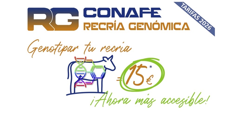 CONAFE lanza el impulso definitivo a la Recr�a Gen�mica: genotipar la recr�a costar� 15 euros