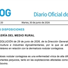 La Xunta mantiene las medidas preventivas ante la dermatosis nodular contagiosa para seguir protegiendo la caba�a bovina gallega