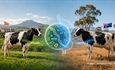 El microbioma ruminal: La nueva herramienta en la selecci�n de vacas frisonas con menores emisiones de metano