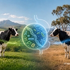 El microbioma ruminal: La nueva herramienta en la selecci�n de vacas frisonas con menores emisiones de metano