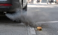 La Audiencia Provincial de Barcelona declara enga�osa la campa�a "Una hamburguesa de carne contamina m�s que tu coche"