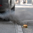 La Audiencia Provincial de Barcelona declara enga�osa la campa�a "Una hamburguesa de carne contamina m�s que tu coche"