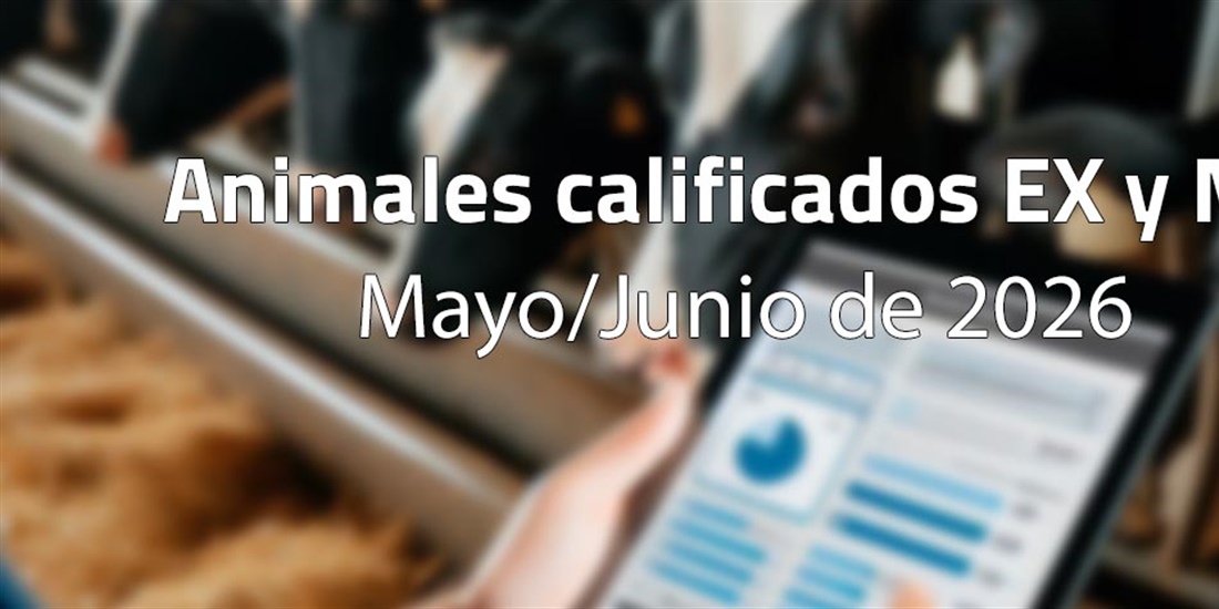 Animales calificados EX y MB en mayo y junio de 2026