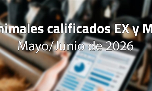 Animales calificados EX y MB en mayo y junio de 2026