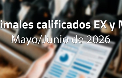 Animales calificados EX y MB en mayo y junio de 2026