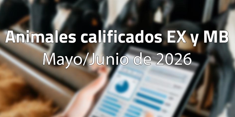 Animales calificados EX y MB en mayo y junio de 2026