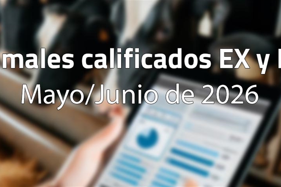 Animales calificados EX y MB en mayo y junio de 2026