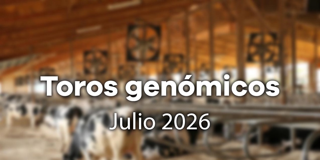 Nuevos toros gen�micos con Prueba Oficial: Evaluaci�n gen�mica julio 2026