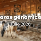 Nuevos toros gen�micos con Prueba Oficial: Evaluaci�n gen�mica julio 2026