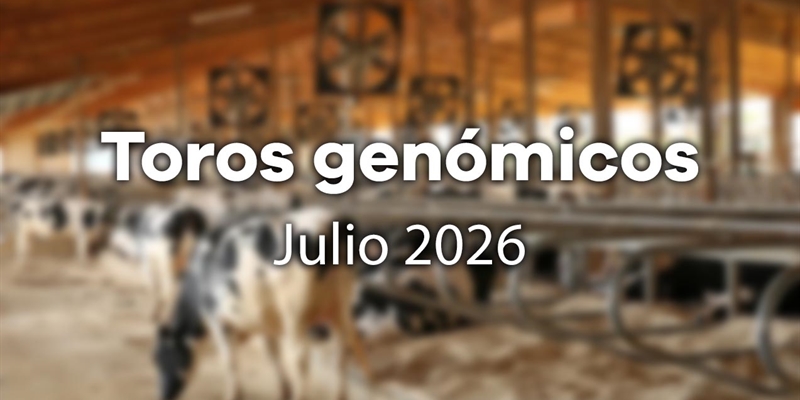 Nuevos toros gen�micos con Prueba Oficial: Evaluaci�n gen�mica julio 2026