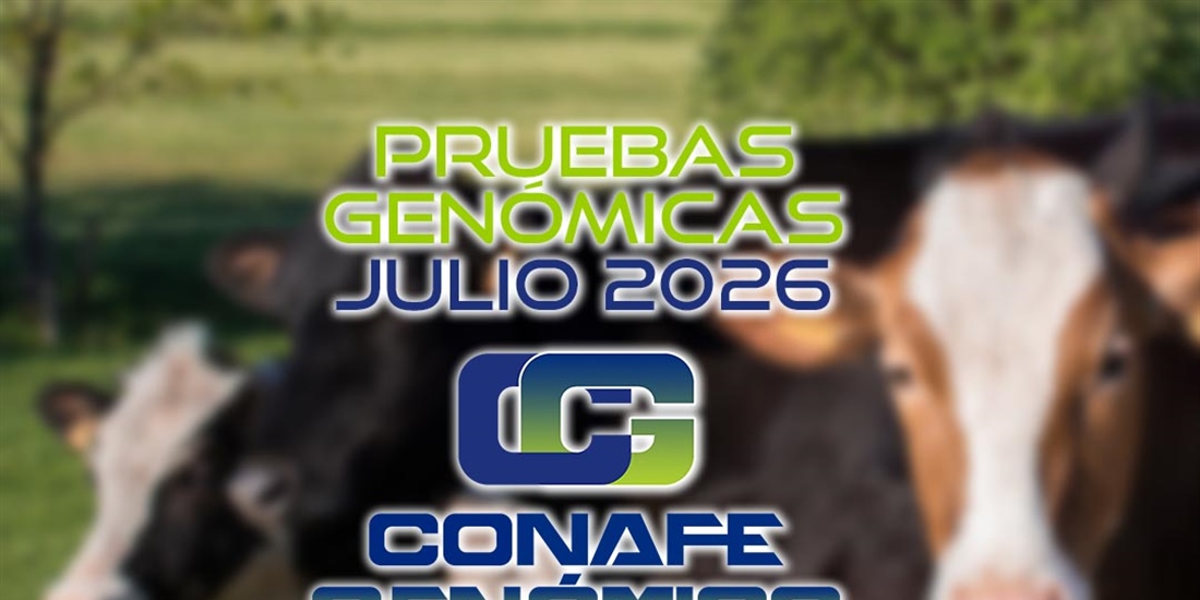 Actualizaci�n de las pruebas gen�micas de Hembras CONAFE julio 2026