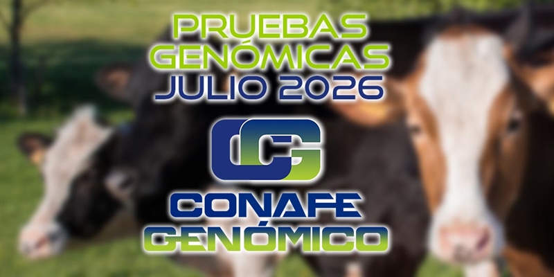 Actualizaci�n de las pruebas gen�micas de Hembras CONAFE julio 2026