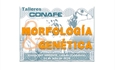 CONAFE y AFCA re�nen en Cantabria a t�cnicos y ganaderos en un taller sobre morfolog�a y mejora gen�tica de la raza frisona