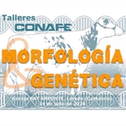 CONAFE y AFCA re�nen en Cantabria a t�cnicos y ganaderos en un taller sobre morfolog�a y mejora gen�tica de la raza frisona