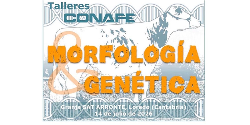 CONAFE y AFCA re�nen en Cantabria a t�cnicos y ganaderos en un taller sobre morfolog�a y mejora gen�tica de la raza frisona