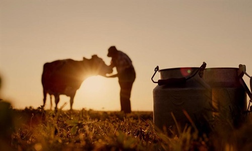 Asturias destina ayudas a garantizar la recogida de leche en zonas de...