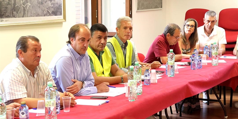 Castilla y Le�n anuncia ayudas a la ganader�a y env�a alimento y agua para los animales de las granjas afectadas por el incendio de �vila