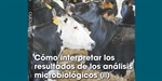 C�mo interpretar los resultados de los an�lisis microbiol�gicos (2)