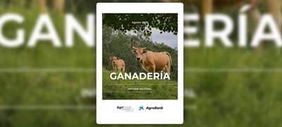 La ganader�a espa�ola afronta una creciente presi�n sobre los precios