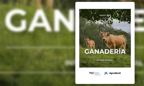 La ganader�a espa�ola afronta una creciente presi�n sobre los precios