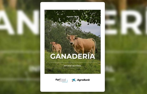 La ganader�a espa�ola afronta una creciente presi�n sobre los precios