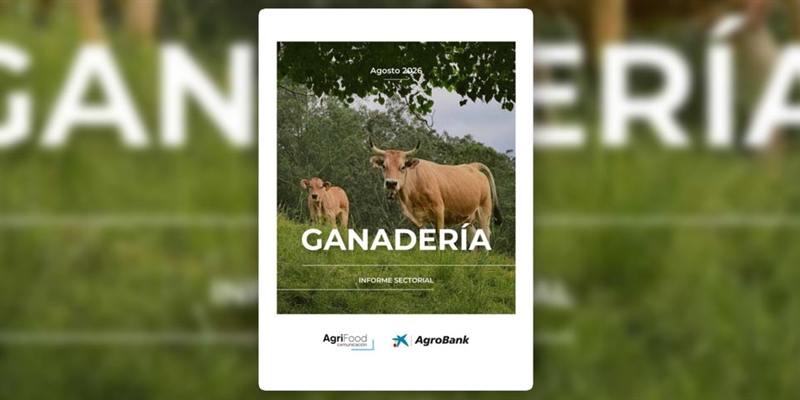 La ganader�a espa�ola afronta una creciente presi�n sobre los precios