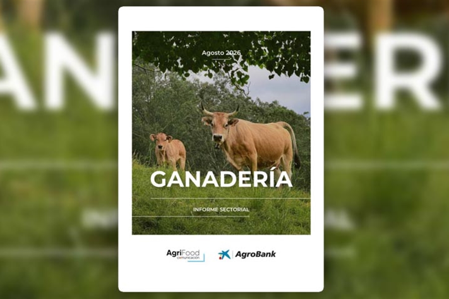 La ganader�a espa�ola afronta una creciente presi�n sobre los precios