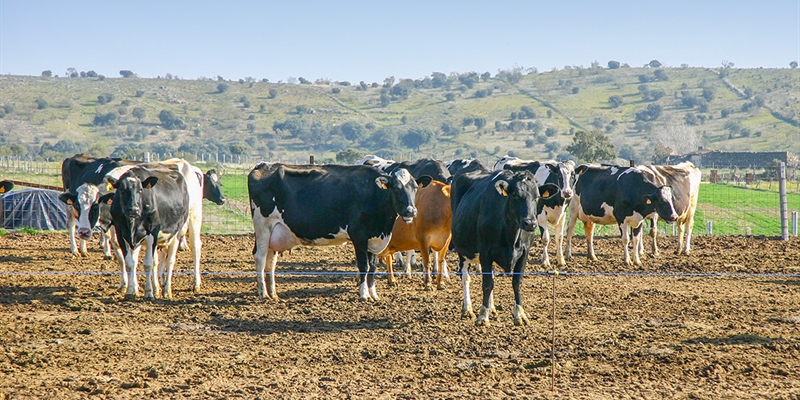 Uni�n de Uniones alerta del empeoramiento de la situaci�n econ�mica en el vacuno de leche