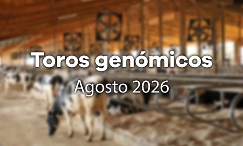 Nuevos toros gen�micos con Prueba Oficial: Evaluaci�n gen�mica agosto 2026