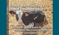 Crotal electr�nico vs crotal convencional: Ventajas reales para la granja m�s all� del cumplimento normativo