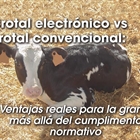 Crotal electr�nico vs crotal convencional: Ventajas reales para la granja m�s all� del cumplimento normativo