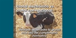 Crotal electr�nico vs crotal convencional: Ventajas reales para la granja m�s all� del cumplimento normativo