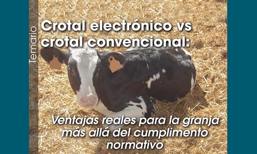 Crotal electr�nico vs crotal convencional: Ventajas reales para la...