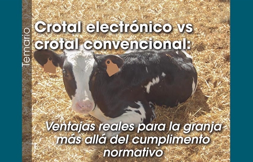 Crotal electr�nico vs crotal convencional: Ventajas reales para la...