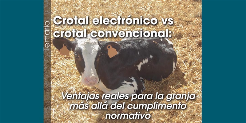 Crotal electr�nico vs crotal convencional: Ventajas reales para la granja m�s all� del cumplimento normativo