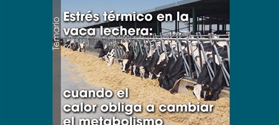 Estr�s t�rmico en la vaca lechera: cuando el calor obliga a cambiar el metabolismo