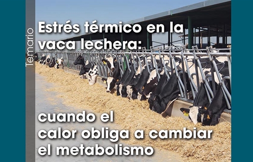Estr�s t�rmico en la vaca lechera: cuando el calor obliga a cambiar el...