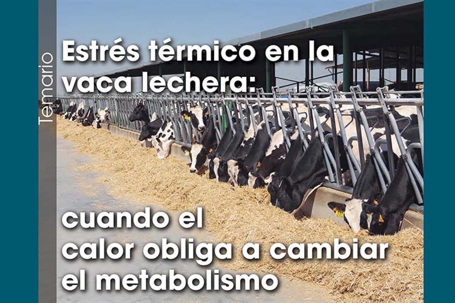 Estr�s t�rmico en la vaca lechera: cuando el calor obliga a cambiar el...