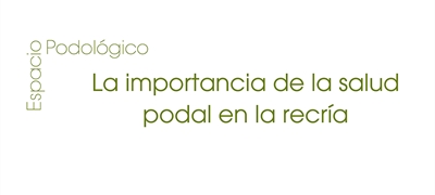 La importancia de la salud podal en la recr�a