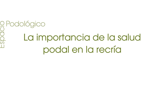 La importancia de la salud podal en la recr�a