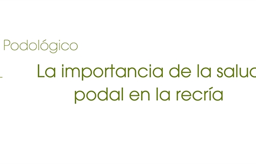 La importancia de la salud podal en la recr�a